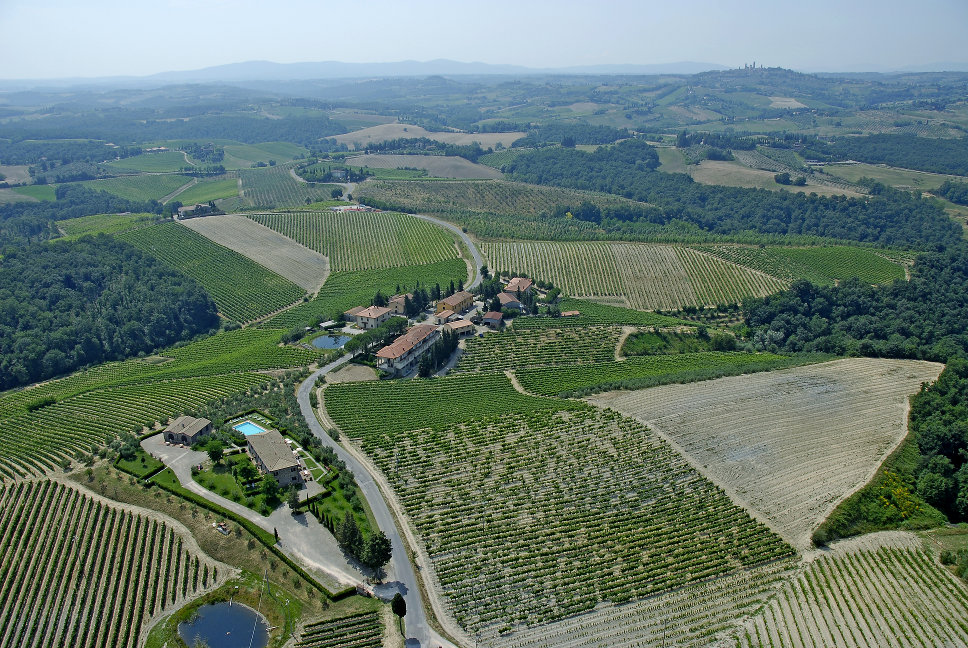 Vigneto Chianti e Vernaccia